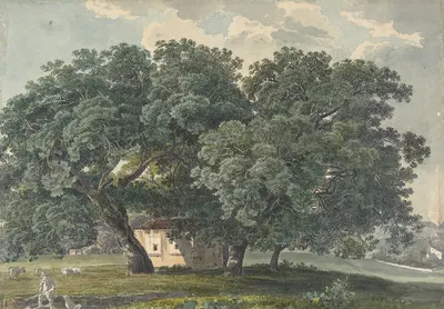 Italian Landscape with Trees by Фридрих Салатэ — digital art print download