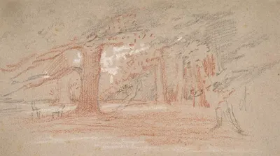 Cedar Trees in a Park by Джордж Ричмонд — digital art print download