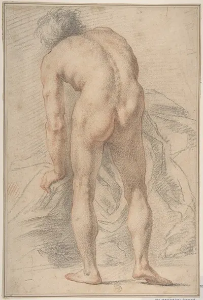 Nude Male Figure, Rear View by Giovanni da San Giovanni — digital art print download