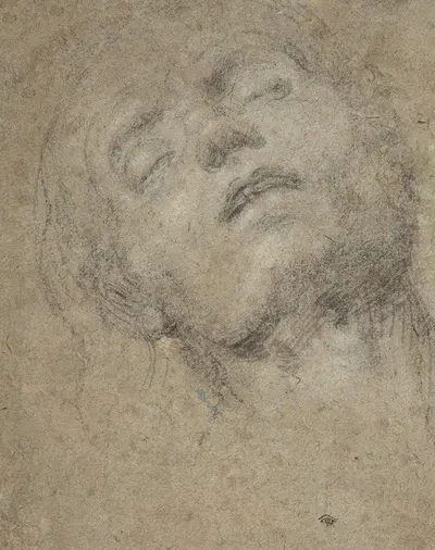 Study of a Head by Джованни Джироламо Савольдо — digital art print download