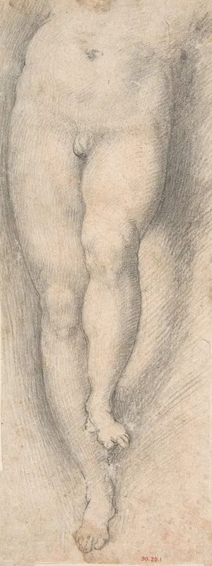Study for Lower Part of Torso and Legs of a Young Boy by Cristoforo Roncalli, 1568–1640 — digital art print download