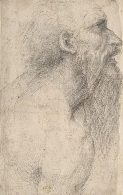 Bust of a Man with Long Beard by Sodoma, 1477–1549 — digital art print download