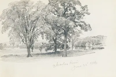 Charles River June 22 '86 by William Trost Richards, 1886 — digital art print download
