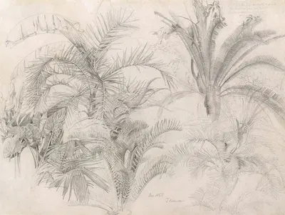 Palms by William Trost Richards, 1855 — digital art print download