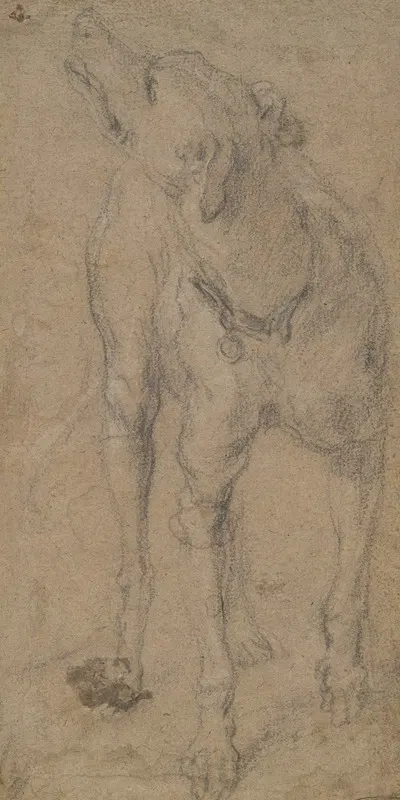 Study of a Dog by Абрахам Хондиус — digital art print download