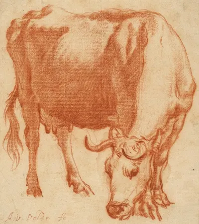 A Cow Grazing by Адриан ван де Вельде, 1663 — digital art print download