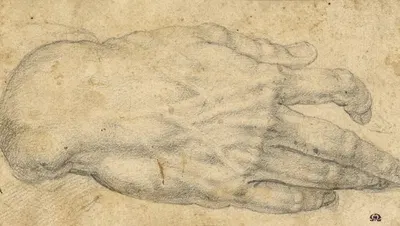 Study of a man's right hand by Агноло Бронзино, 1545–1552 — digital art print download