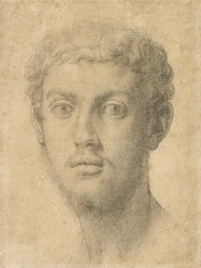 Head of a Man by Агноло Бронзино, 1550–1555 — digital art print download