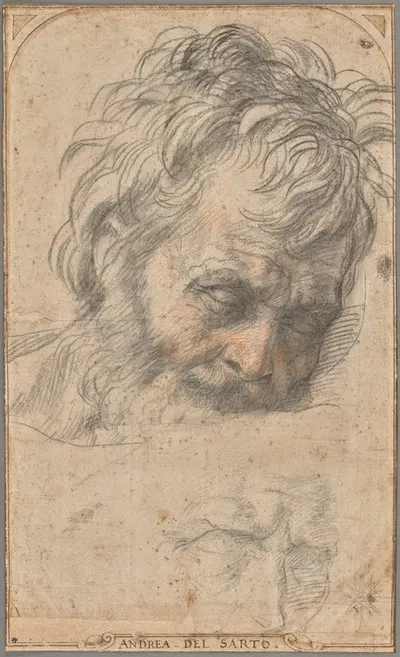 Study for the Head of Saint Joseph by Андреа дель Сарто, 1526–1527 — digital art print download