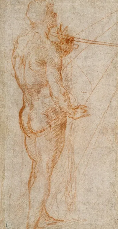 Study of a Nude Man by Андреа дель Сарто, 1517 — digital art print download