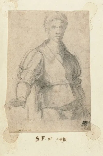 Study of a Young Man by Андреа дель Сарто, 1523 — digital art print download