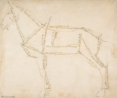 Measured Drawing of a Horse Facing Left by Andrea del Verrocchio — digital art print download
