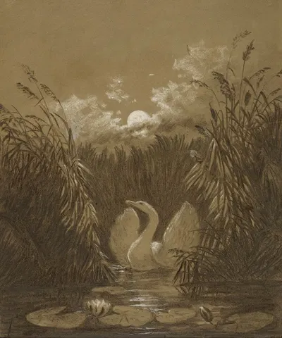 A Swan Among the Reeds, by Moonlight by Карл Густав Каруз, 1852 — digital art print download