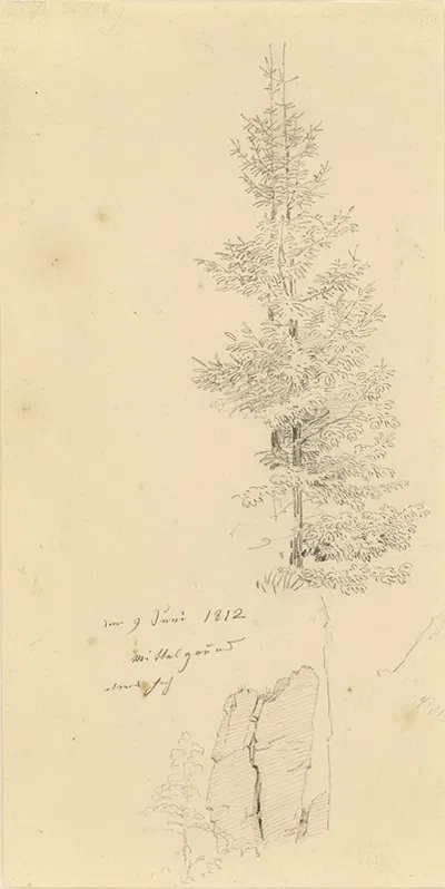 Study of Pine Trees and a Rock by Каспар Давид Фридрих, 1812 — digital art print download