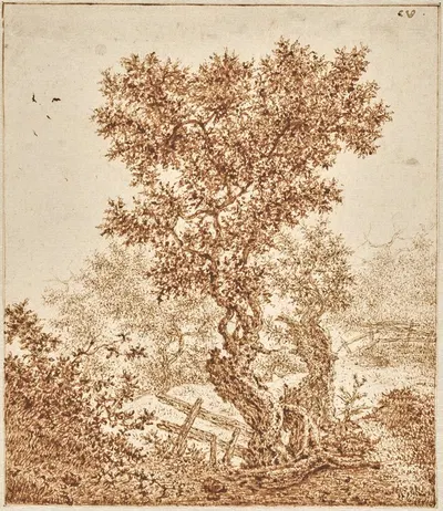 Knotty Old Tree in the Dunes with a Fence by Клас ван Берестейн, 1650–1670 — digital art print download