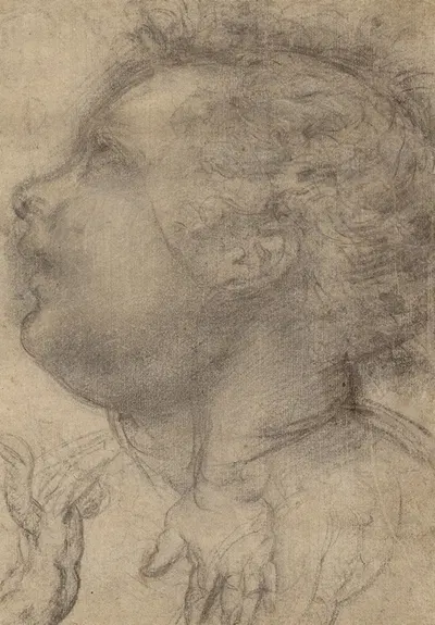 Head of a Child, an Angel and a Hand by Fra Bartolomeo, 1510–1515 — digital art print download