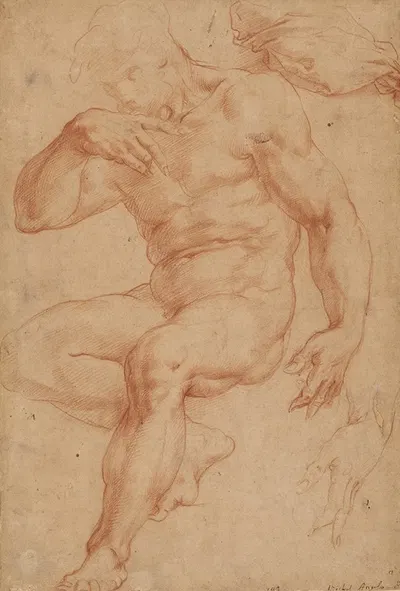 Studies of a Male Nude, a Drapery, and a Hand by Джорджо Вазари, 1555–1565 — digital art print download