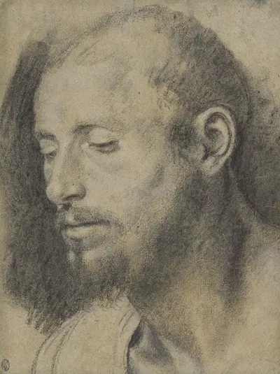 Study of the Head of a Bearded Man by Giovanni Girolamo Savoldo, 1533 — digital art print download