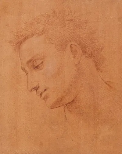 Head of Man in Profile to the Left by Girolamo Macchietti, 1571–1572 — digital art print download