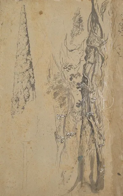 Study of a Cypress and Two Overgrown Trees by Иосиф Вернер Младший — digital art print download