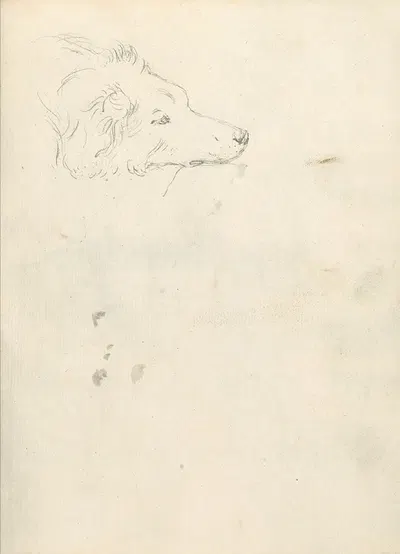 Head of a Dog by Джозеф Райт из Дерби — digital art print download
