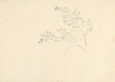 Tree Branches by Джозеф Райт из Дерби — digital art print download