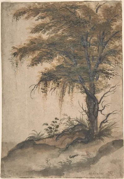 Study of a Tree by Мартен Ван Валькенборх — digital art print download
