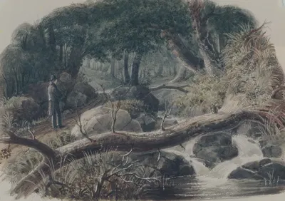 The Entrance to a Wood by Роберт Уолтер Уир, 1836 — digital art print download