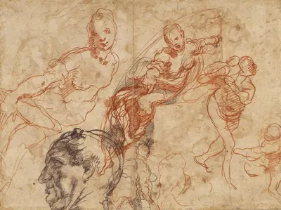 Figure Studies by Taddeo Zuccaro, 1553–1556 — digital art print download