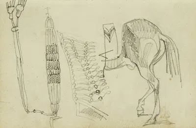 Horse Studies and Tassels by Теодор Жерико, 1812 - 1814 — digital art print download
