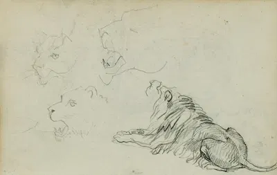 Four lion studies by Теодор Жерико, 1812 - 1814 — digital art print download