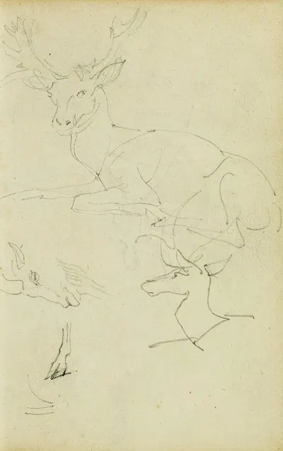 Studies of a seated stag, a fawn, a goat head by Теодор Жерико, 1812 - 1814 — digital art print download