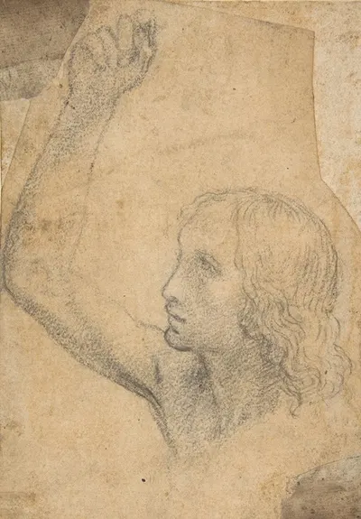 Youth with Right Arm Raised in a Shoulder-Length Portrayal (preparatory study for St. Sebastian) by Timoteo Viti — digital…