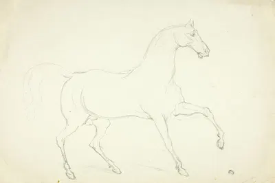 Stallion by Abraham Cooper — digital art print download