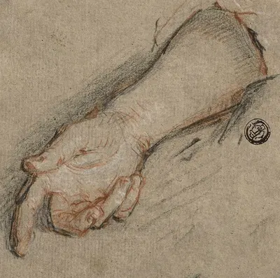 Back of Hand and Forearm by Антуан Койпель — digital art print download