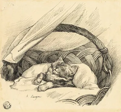 Cat Asleep in Basket by Auguste Andre Lançon — digital art print download