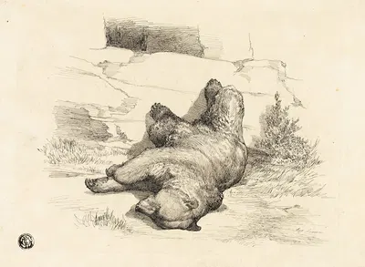 Russian Bear by Огюст Андре Лансон — digital art print download