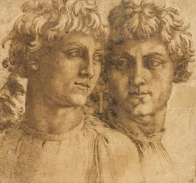 Two Studies of the Head of a Youth by Baccio Bandinelli, c. 1550 — digital art print download