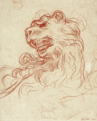 Study of the Head of a Lion by Baldassarre Franceschini — digital art print download