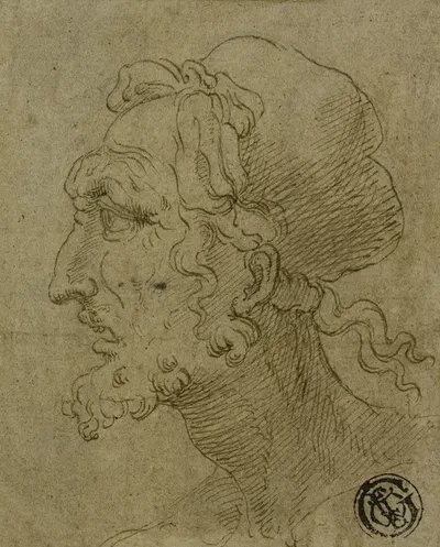 Male Head in Profile by Бальдассаре Перуцци — digital art print download