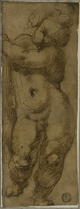 Standing Putto Seen from the Front; Study for the Virgin in Glory with Saints Petronius, Dominic, and Peter Martyr by…