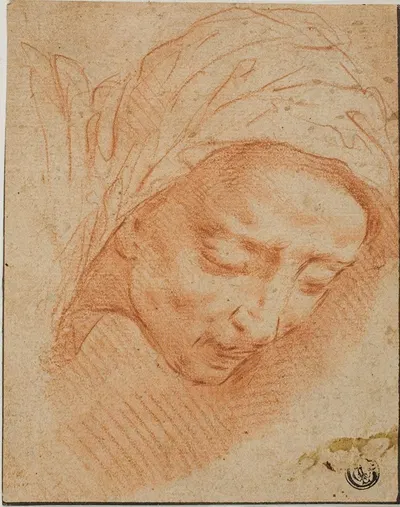 Woman’s Head by Bernardino Poccetti — digital art print download