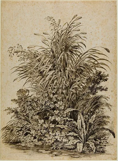 Plants at Water’s Edge by Carl Wilhelm Kolbe the elder, c. 1800 — digital art print download
