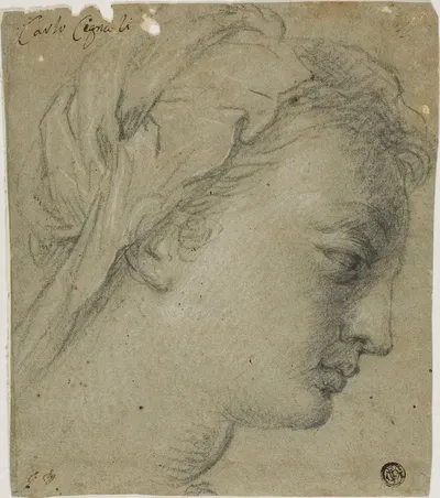 Female Head in Profile to Right by Карло Чиньяни — digital art print download