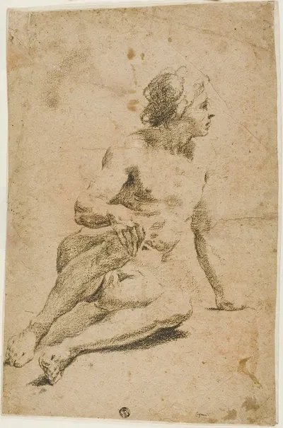 Seated Male Nude by Carlo Cignani — digital art print download