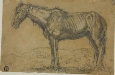 Emaciated Horse by Шарль Эмиль Жак — digital art print download