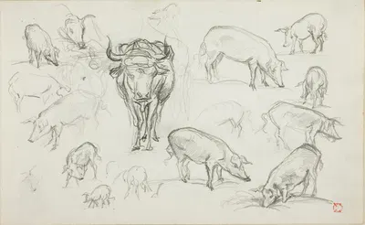 Sketches of Swine and an Ox by Шарль Франсуа Дюбини — digital art print download