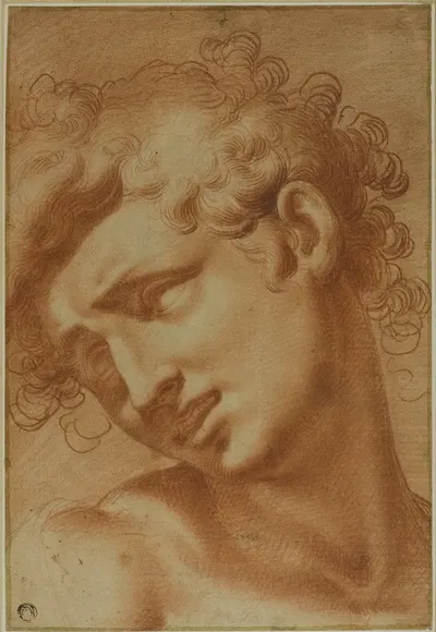 Head of a Youth by Cristoforo Roncalli, 1595-1605 — digital art print download
