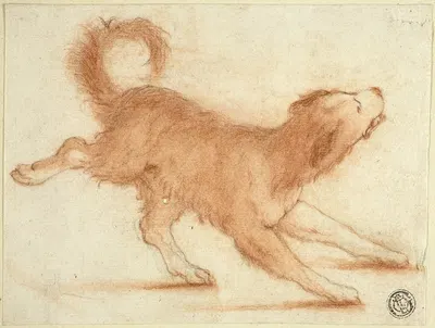 Growling Dog Ready to Pounce by Дирк Валькенбург — digital art print download
