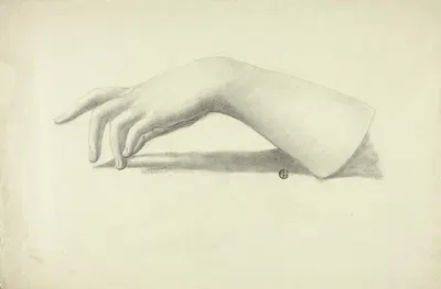 Left Forearm and Hand by Элизабета Мюррей — digital art print download